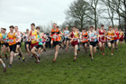 Senior boys 2019 New Balance English Schools Cross Country Champs, Temple Newsam, Leeds. Photo:  David T. Hewitson/Sports for All Pics
